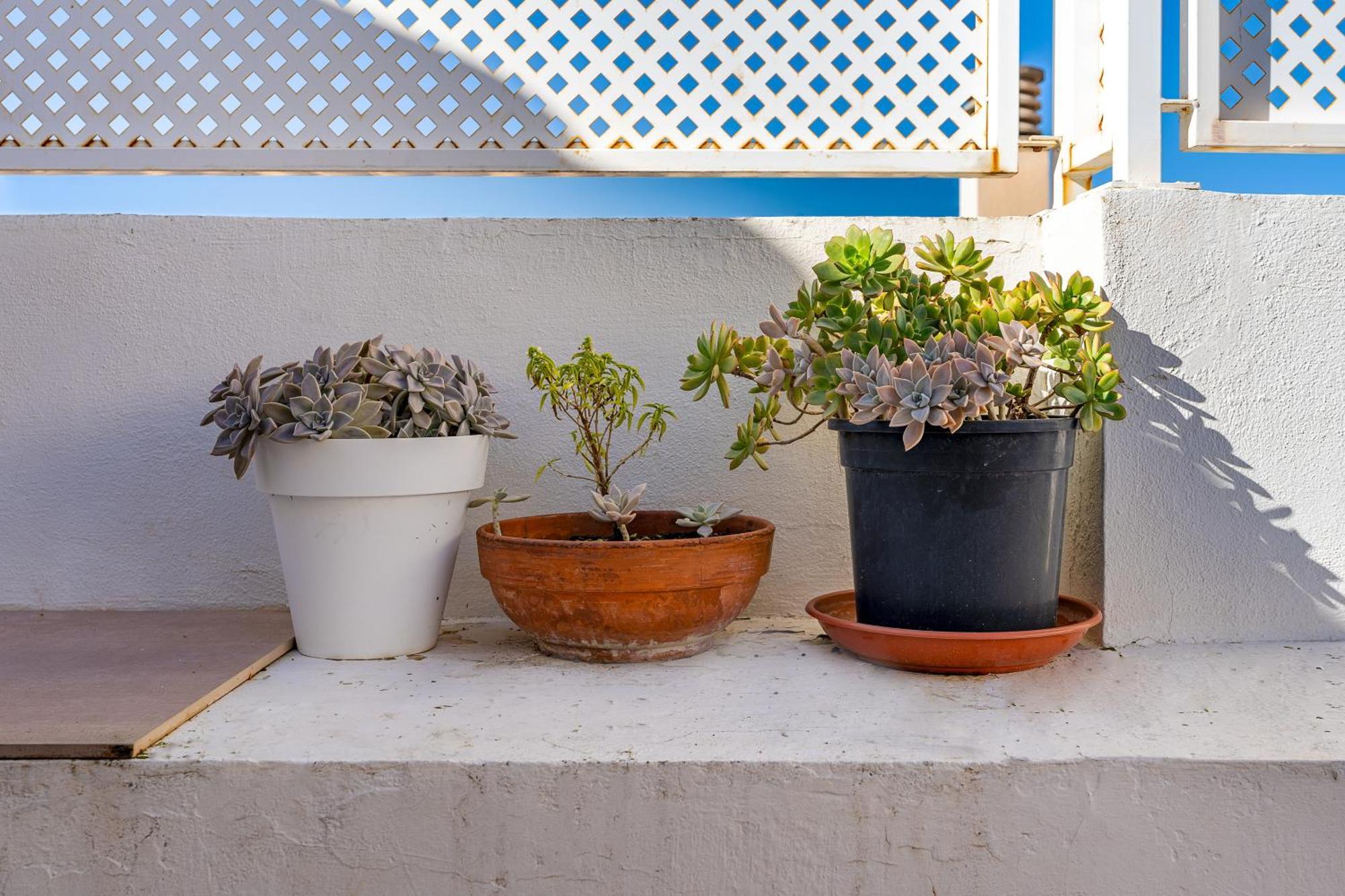 Casa Mirador Alqueria Сasa de vacaciones